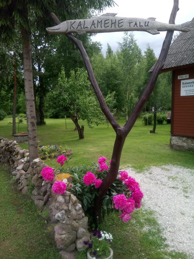 Kalamehe Farmstay Alatskivi エクステリア 写真